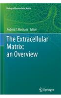 Extracellular Matrix: An Overview