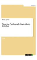 Marketing Plan Example