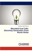 Microbial Fuel Cells