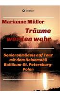 Träume werden wahr, Band 2