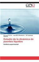 Estudio de La Dinamica de Puentes Liquidos