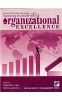 Managing Corporate Responsibility and Risk of Synergising Business Practices to Achieve Organizational Excellence