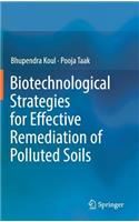 Biotechnological Strategies for Effective Remediation of Polluted Soils