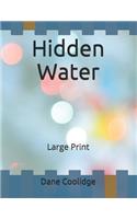 Hidden Water