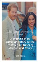 A synopsis of an intriguing story on the challenging times of Meghan and Harry.