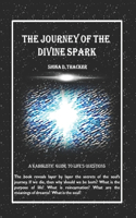 The Journey of the Divine Spark: The book reveals layer by layer the secrets of the soul's journey. If we die, then why should we be born? What is the purpose of life? What is reinc