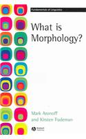 What is Morphology?
