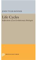 Life Cycles