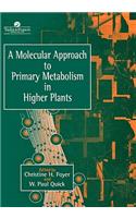 A Molecular Approach To Primary Metabolism In Higher Plants