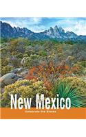New Mexico