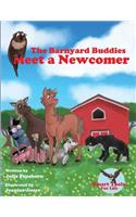 Barnyard Buddies Meet a Newcomer