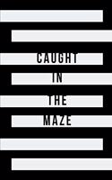 Caught in the Maze