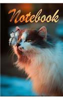 Notebook: Cat School Notebook size 6x9