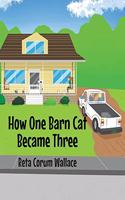 How One Barn Cat Became Three