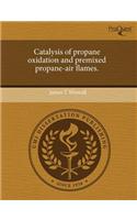 Catalysis of Propane Oxidation and Premixed Propane-Air Flames