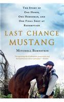 Last Chance Mustang