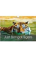 Just Bengal Tigers 2017