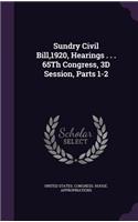 Sundry Civil Bill,1920, Hearings . . . 65th Congress, 3D Session, Parts 1-2