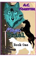 Magic Trial