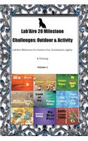 Lab'Aire 20 Milestone Challenges: Outdoor & Activity Lab'Aire Milestones for Outdoor Fun, Socialization, Agility & Training Volume 1
