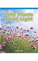 Why Plants Need Light