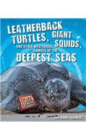 Leatherback Turtles, Giant Squids, and Other Mysterious Animals of the Deepest Seas