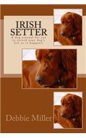 Irish Setter