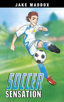 Soccer Sensation