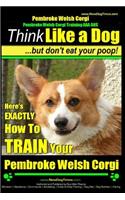 Pembroke Welsh Corgi, Pembroke Welsh Corgi Training AAA AKC