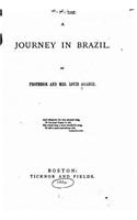 Journey in Brazil