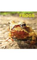 Frogs Calendar 2017: 16 Month Calendar