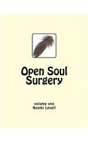 Vol. 1, Open Soul Surgery, large print edition
