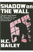 Shadow on the Wall