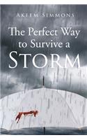The Perfect Way to Survive a Storm