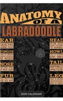 Anatomy Of A Labradoodle: Labradoodle 2020 Calendar - Customized Gift For Labradoodle Dog Owner