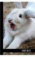Rabbit Notes
