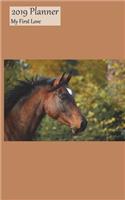 2019 Planner My First Love: Small Bi Weekly Calendar 2019 Organizer With Thoroughbred Cover