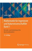 Mathematik Für Ingenieure Und Naturwissenschaftler Band 1