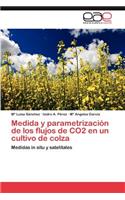 Medida y Parametrizacion de Los Flujos de Co2 En Un Cultivo de Colza