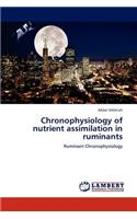 Chronophysiology of Nutrient Assimilation in Ruminants