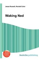 Waking Ned