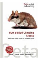 Buff-Bellied Climbing Mouse: (English)