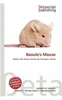 Baoule's Mouse: (English)