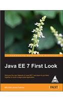 Java EE 7 First Look