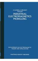 Industrial Electromagnetics Modelling