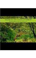 Tigers in the Emerald Forest: Ranthambhore After the Monsoon