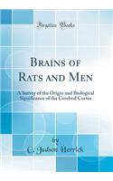 Brains of Rats and Men: A Survey of the Origin and Biological Significance of the Cerebral Cortex (Classic Reprint): A Survey of the Origin and Biological Significance of the Cerebral Cortex (Classic Reprint)