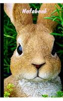 Bunny Notebook
