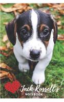 Jack Russell Notebook: cute jack russells gift for kids and dog lovers (blank lined notebook) jack russell diary, notepad for girls and boys / journal book for journaling 
