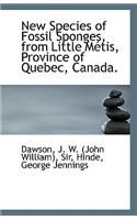 New Species of Fossil Sponges, from Little Metis, Province of Quebec, Canada.